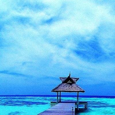 8188www威尼斯app下载