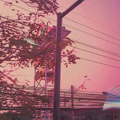 亚搏平台最新版app下载