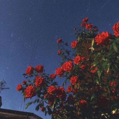 manbetx2.0官方网截图