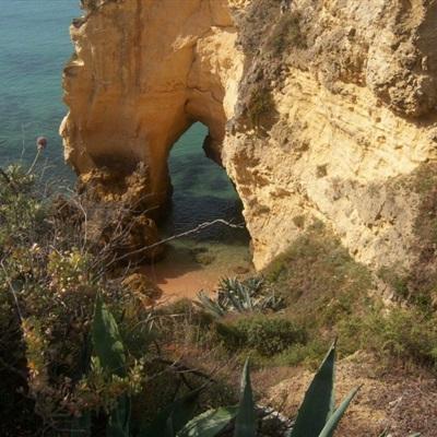 一码一肖100准资料应用手机app下载截图