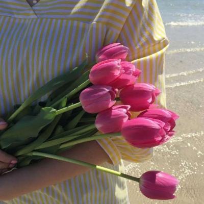 半导体育官方app