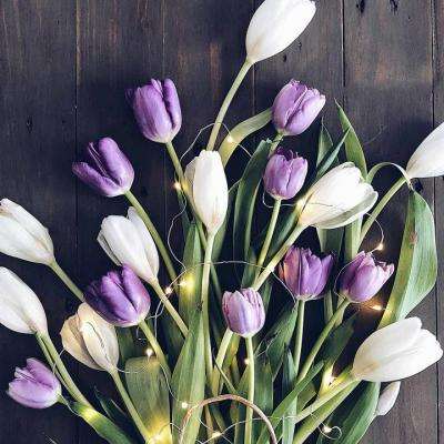 皇家88手机app下载